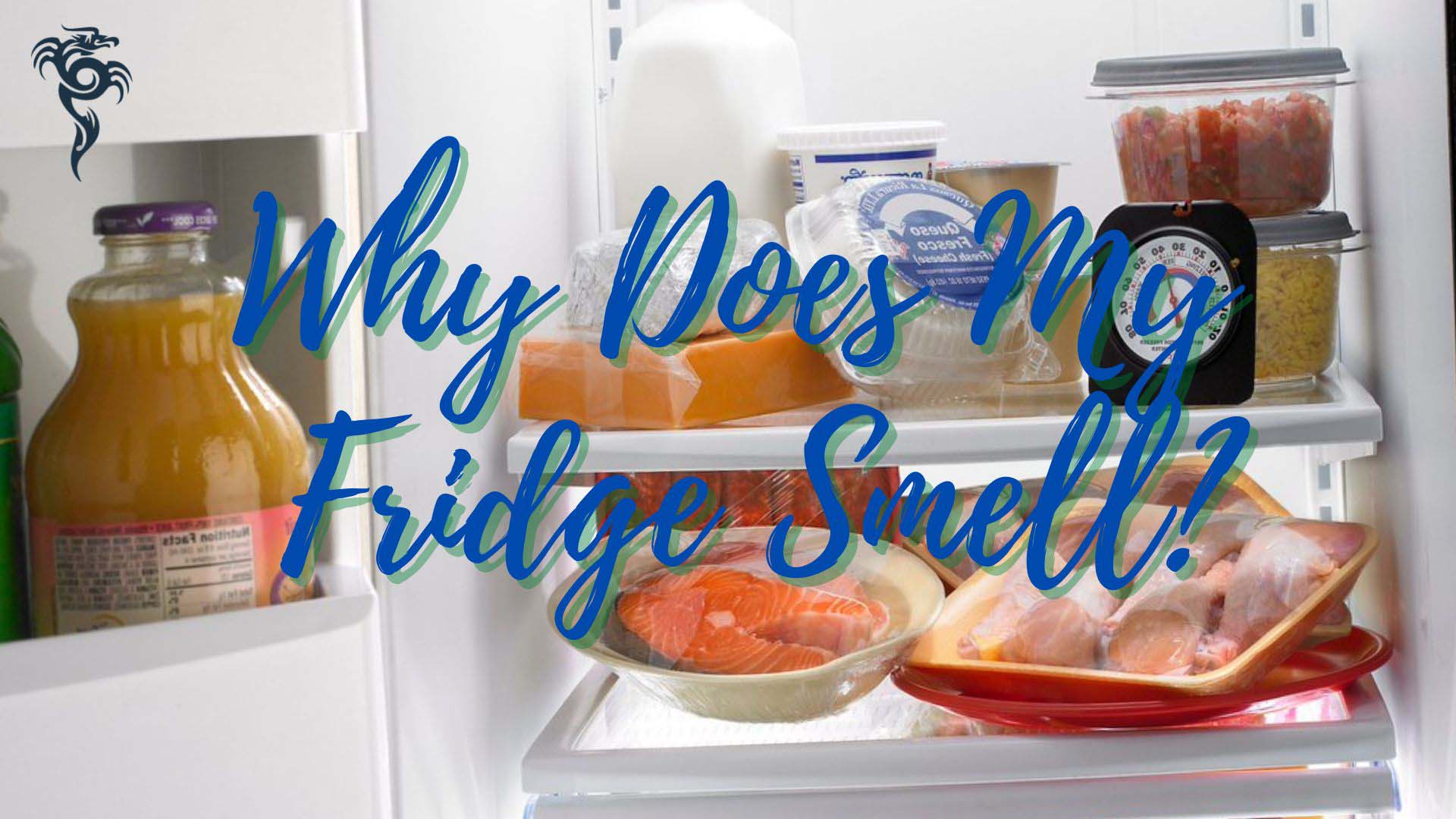 Why Does My Fridge Smell? How To Effectively Deodorize Refrigerator