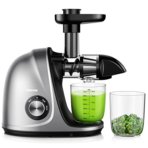 Best Rated Fruit And Vegetable Juicers 2024 The Phoenix Landing Bar