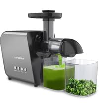 Cold Press Juicer for Ginger Root Carrots Soymilk Celery Vegetable Juicer, Fruit Juicer Extractor 2-Speed Modes, Slow Masticating Juicer Maker, Quiet Motor Reverse Function Reduce Clogs, Easy Clean