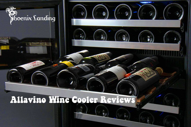 Allavino Wine Cooler Reviews 