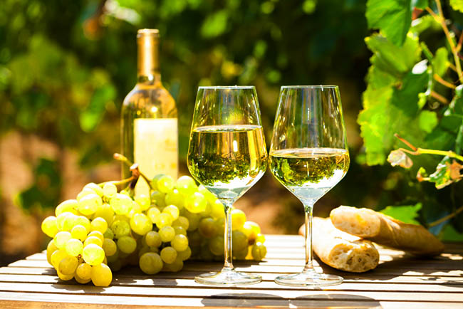 Difference between Sauvignon Blanc, Pinot Grigio, Chardonnay and Riesling