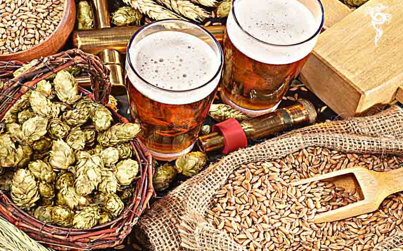 What Are The Main Ingredients Of Beer