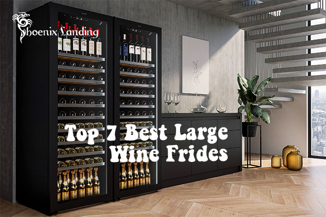 Top 7 Best Large Wine Coolers