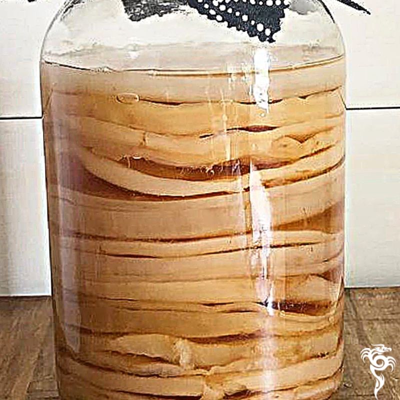 How To Care For Your Kombucha Scoby