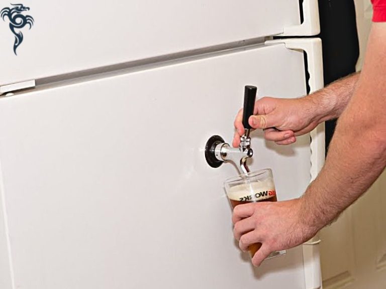 How To Make A Kegerator Out Of A Mini Fridge? Useful Detailed