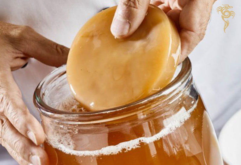 what is a scoby