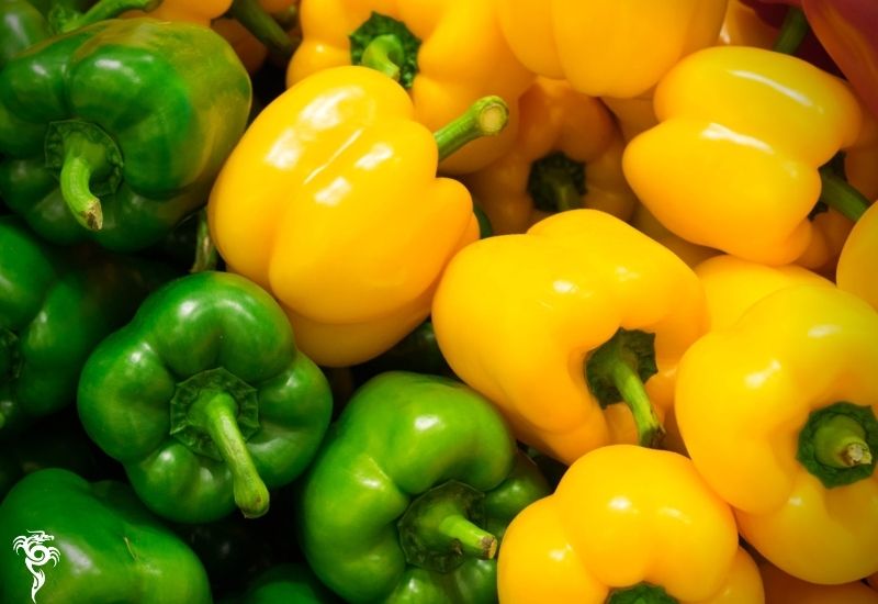 Tips for Storing Bell Peppers
