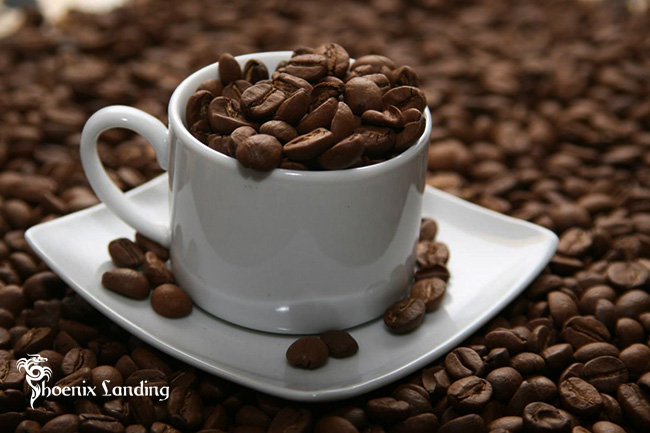 What is Arabica Coffee