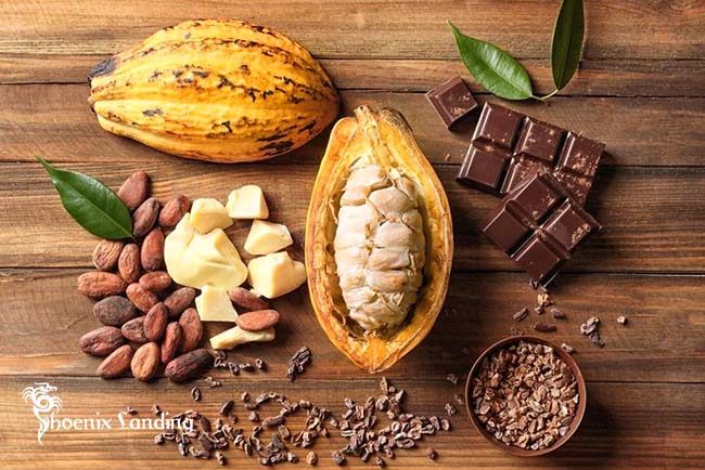 All About the Chocolate-Making Process