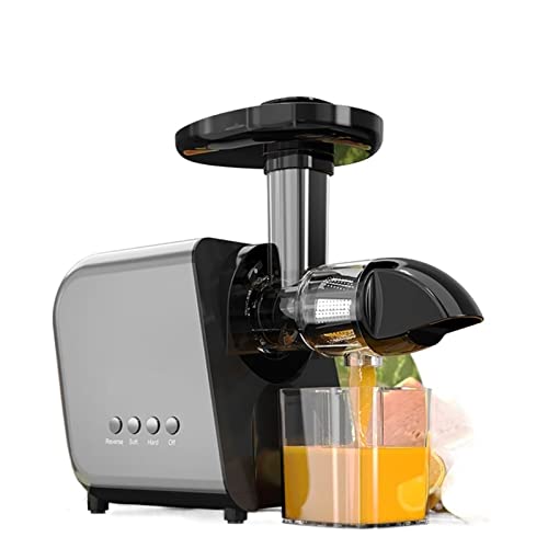 Best Masticating Juicers Uk 2023 The Phoenix Landing