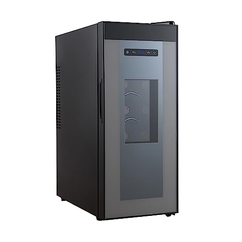 Best Compact Wine Refrigerators 2023 The Phoenix Landing