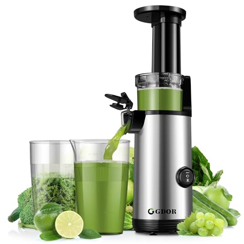 Best Compact Juicer Machine 2025 The Phoenix Landing Bar