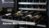 Allavino Wine Cooler Reviews
