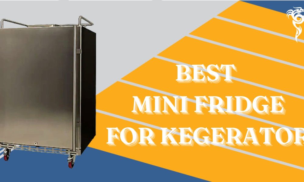 best mini fridge for kegerator